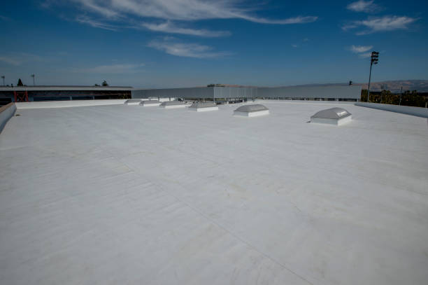 Best Roof Moss and Algae Removal  in Zilwaukee, MI